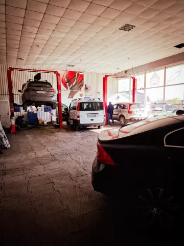 Ева Моторз 1309