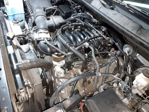 TITANGAS 431