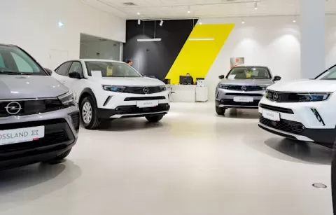 Опель ВІДІ Адванс 41