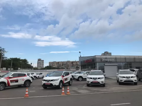Элефант
