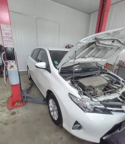 Азия сервіс 973