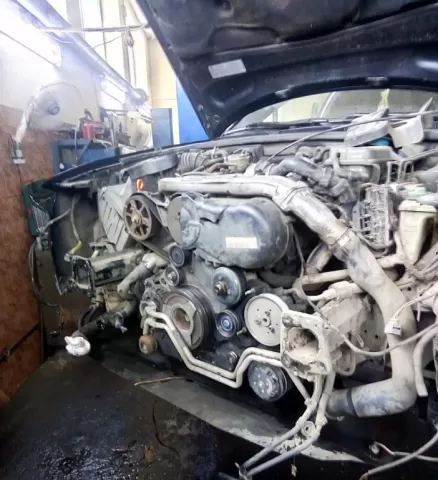 Пікон Пікон 1247