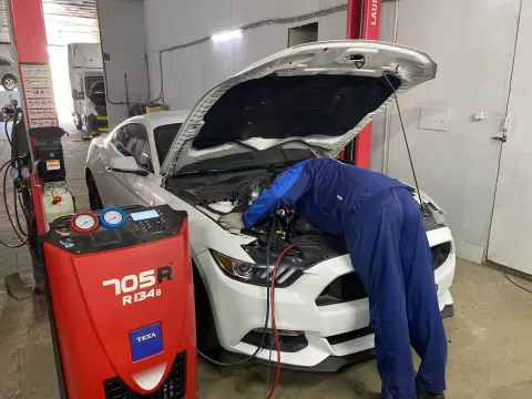 Alt Star Сервис Ребета 2450