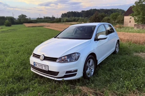 Volkswagen Golf 2013 2013