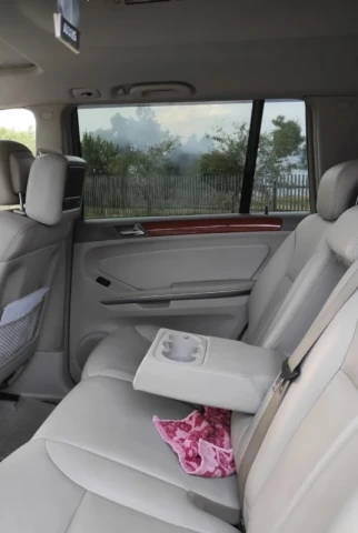 Mercedes-Benz GL-Class 2008 2008