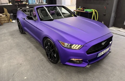 Ford Mustang 2015 2015